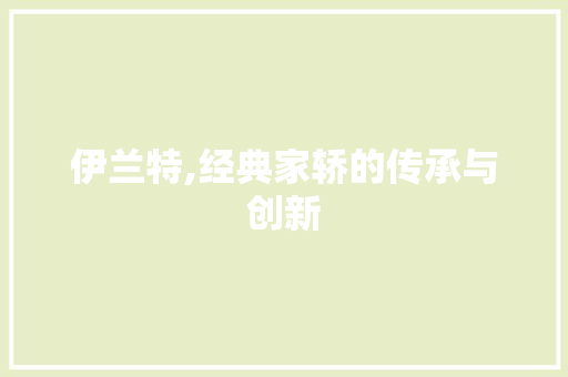 伊兰特,经典家轿的传承与创新