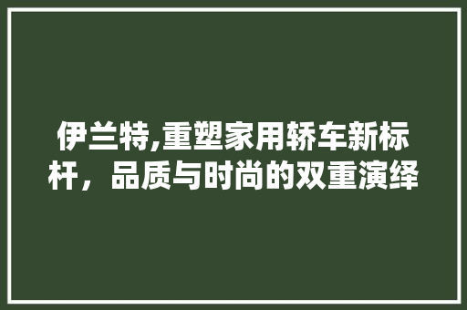 伊兰特,重塑家用轿车新标杆，品质与时尚的双重演绎