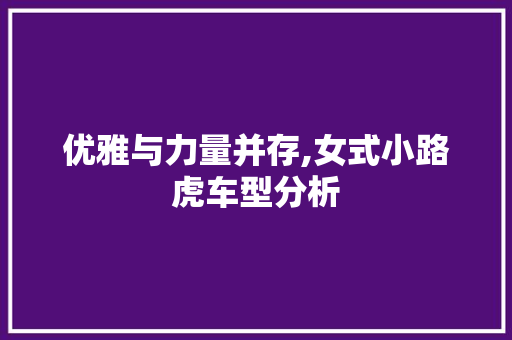 优雅与力量并存,女式小路虎车型分析