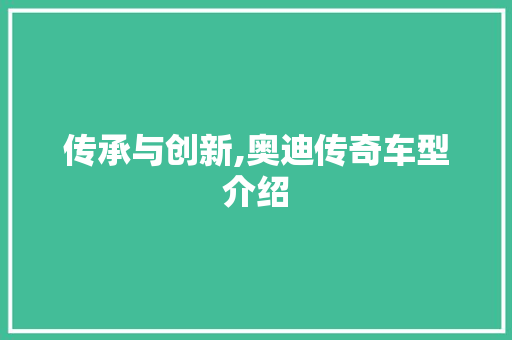 传承与创新,奥迪传奇车型介绍 车灯配件