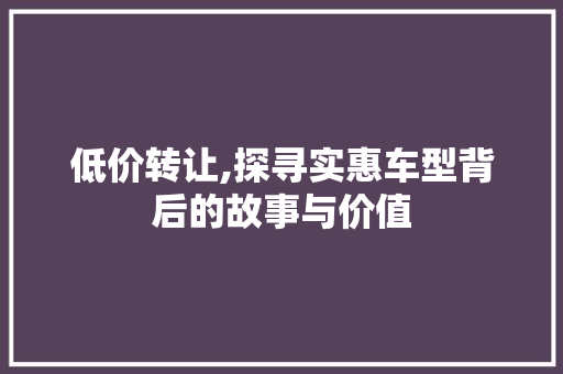 低价转让,探寻实惠车型背后的故事与价值