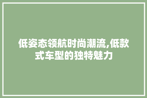 低姿态领航时尚潮流,低款式车型的独特魅力