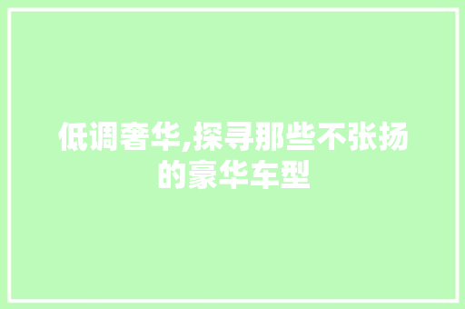 低调奢华,探寻那些不张扬的豪华车型
