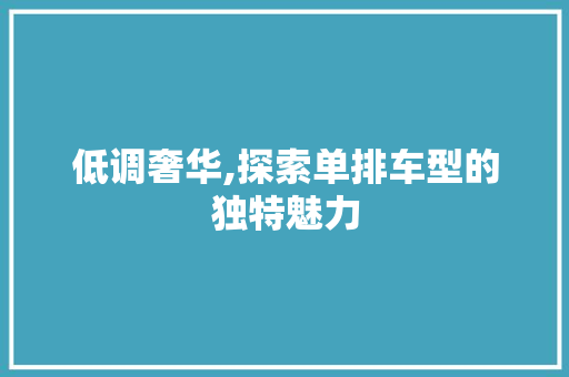 低调奢华,探索单排车型的独特魅力