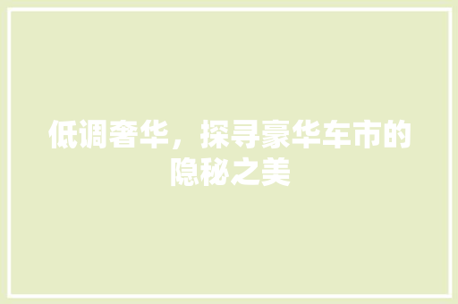 低调奢华，探寻豪华车市的隐秘之美