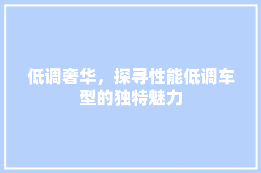 低调奢华，探寻性能低调车型的独特魅力