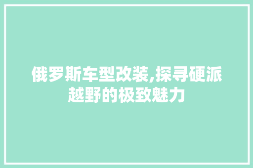 俄罗斯车型改装,探寻硬派越野的极致魅力