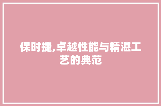 保时捷,卓越性能与精湛工艺的典范