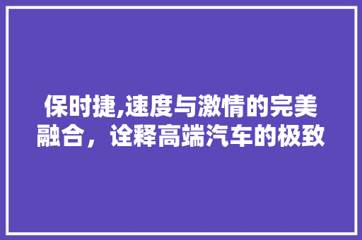 保时捷,速度与激情的完美融合，诠释高端汽车的极致魅力