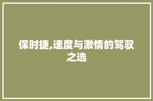 保时捷,速度与激情的驾驭之选