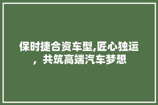 保时捷合资车型,匠心独运，共筑高端汽车梦想
