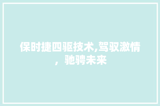 保时捷四驱技术,驾驭激情，驰骋未来