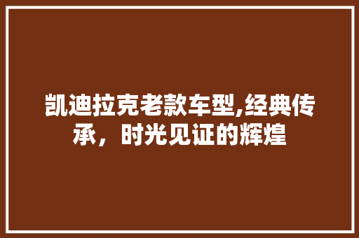 凯迪拉克老款车型,经典传承，时光见证的辉煌