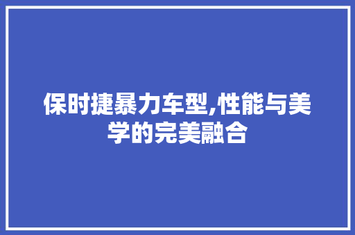 保时捷暴力车型,性能与美学的完美融合