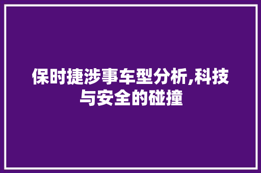 保时捷涉事车型分析,科技与安全的碰撞