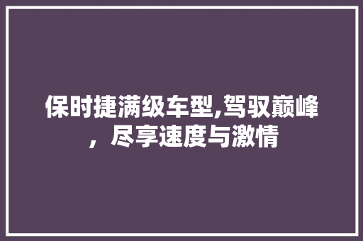 保时捷满级车型,驾驭巅峰，尽享速度与激情