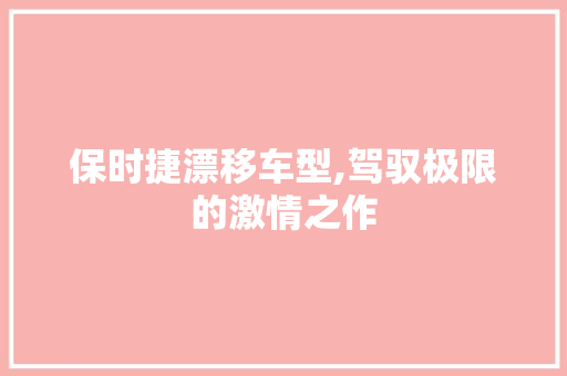 保时捷漂移车型,驾驭极限的激情之作