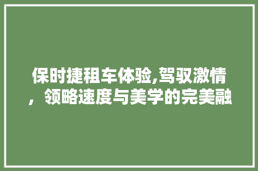 保时捷租车体验,驾驭激情，领略速度与美学的完美融合
