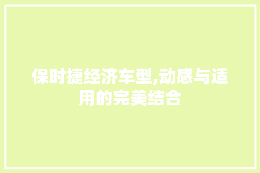 保时捷经济车型,动感与适用的完美结合