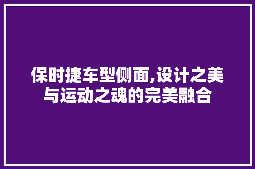 保时捷车型侧面,设计之美与运动之魂的完美融合