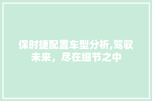 保时捷配置车型分析,驾驭未来，尽在细节之中