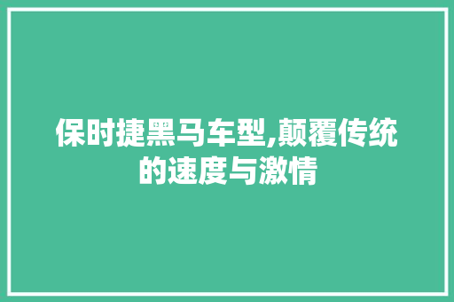 保时捷黑马车型,颠覆传统的速度与激情