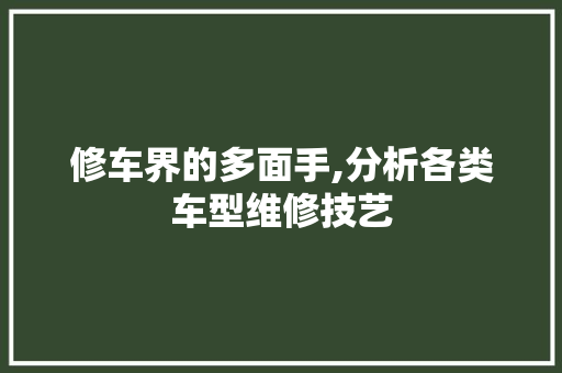 修车界的多面手,分析各类车型维修技艺