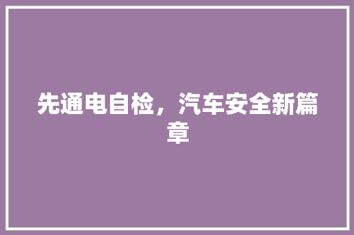 先通电自检，汽车安全新篇章 汽车配件