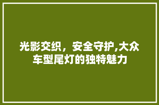 光影交织，安全守护,大众车型尾灯的独特魅力