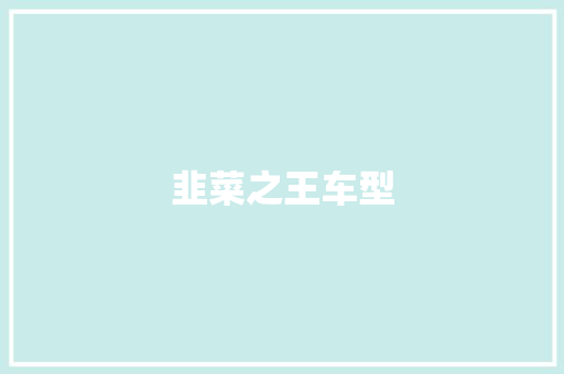 韭菜之王车型