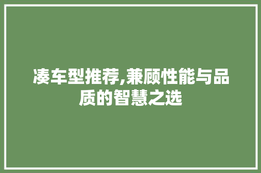 凑车型推荐,兼顾性能与品质的智慧之选