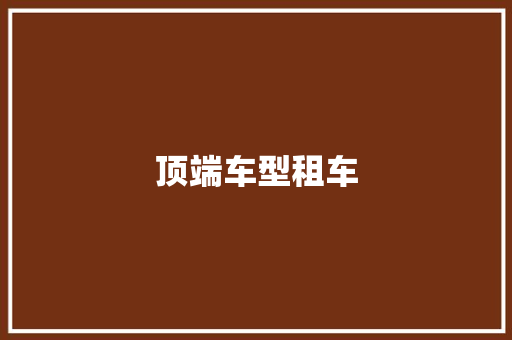 顶端车型租车