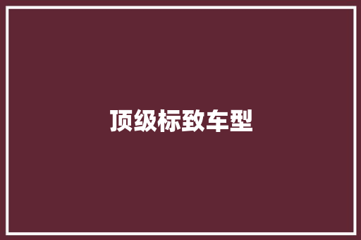 顶级标致车型