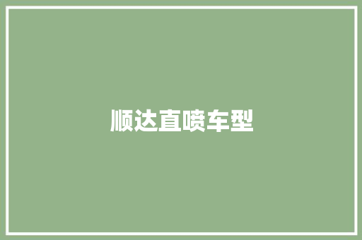 顺达直喷车型