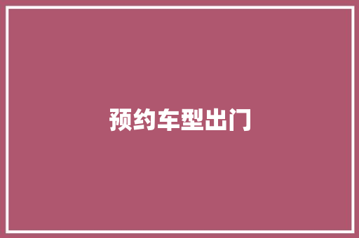 预约车型出门