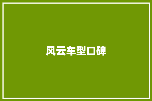 风云车型口碑