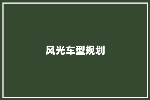 风光车型规划