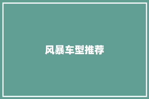 风暴车型推荐