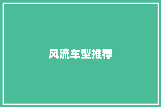 风流车型推荐