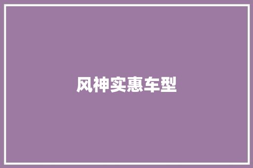 风神实惠车型