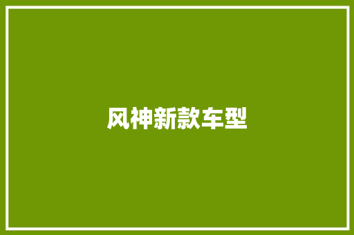 风神新款车型