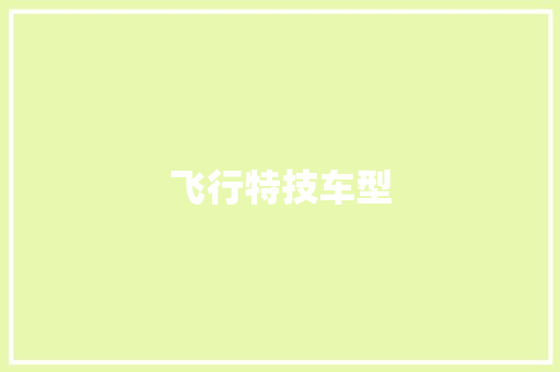 飞行特技车型 蓄电池配件