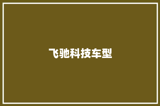 飞驰科技车型