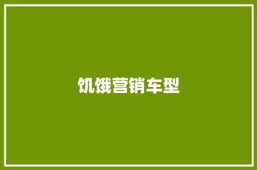 饥饿营销车型