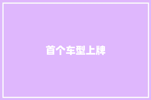 首个车型上牌
