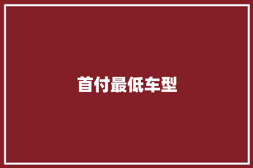 首付最低车型