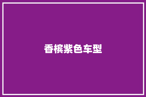 香槟紫色车型 新能源汽车