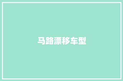 马路漂移车型