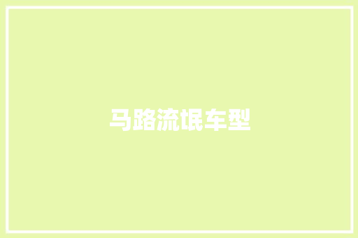 马路流氓车型