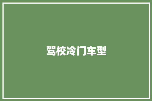 驾校冷门车型